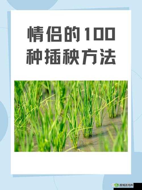 24 种男女插秧法提高效率:探索农业生产新途径