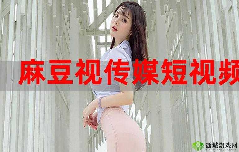 麻豆视传媒短视频网站:精彩短视频汇聚之地