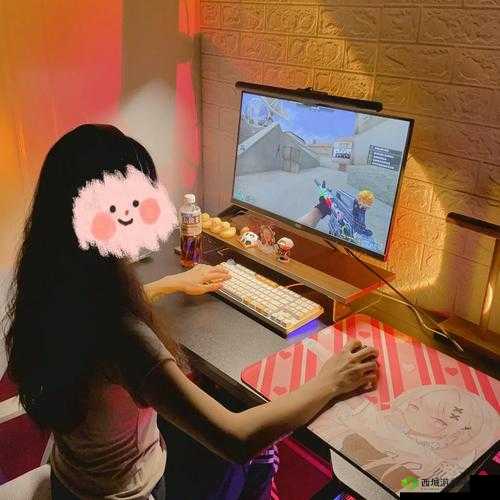 csgo 玩家里的洋妞:妹子老外都爱玩的游戏
