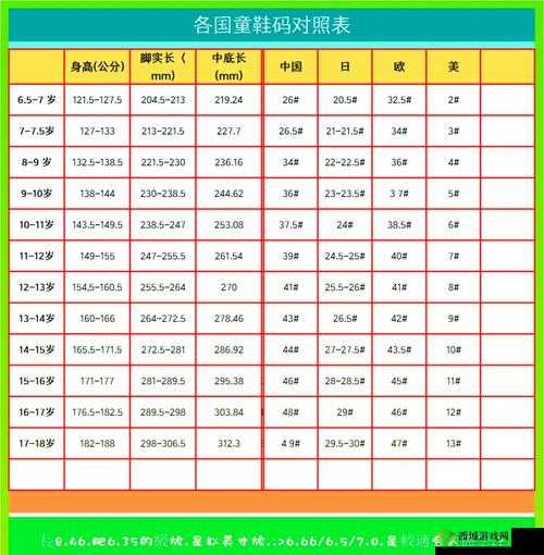 2024 年国产尺码与欧洲尺码：差异与趋势