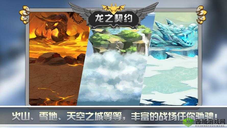 龙之契约,探索龙族的奥秘与辉煌