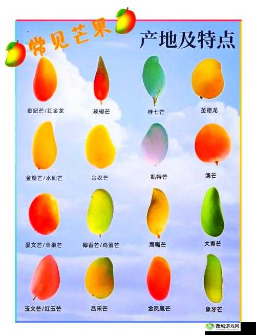 芒果精产国品一二三产区区别:深入探究其差异与特色