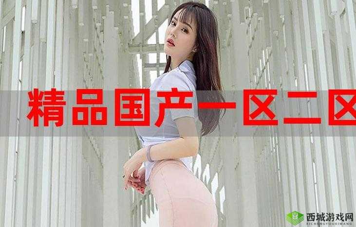国精产品一码二码三M：探索数字背后的精彩世界