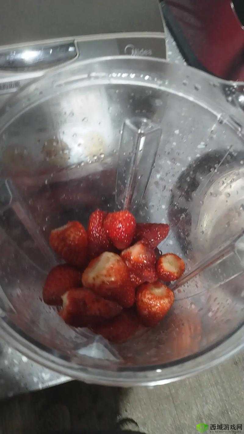 放草莓进去榨草莓汁怎么样:探索自制美味饮品的奇妙之旅