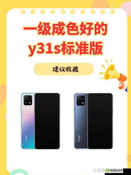 y31 成色好的:一款备受青睐的优质产品