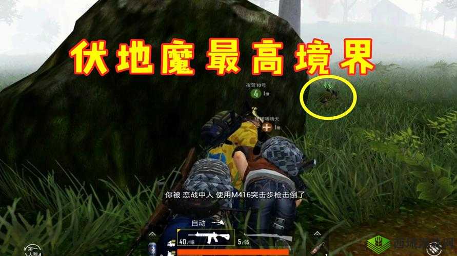 教你对付LYB,光荣使命中如何应对草丛伏地魔的策略解析