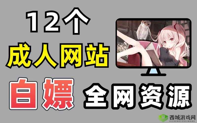 十大 B 站不收费:带你探索免费资源的精彩世界