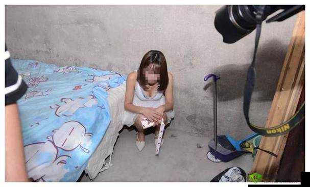 中国农村妓女现状:亟待关注与改善的特殊群体