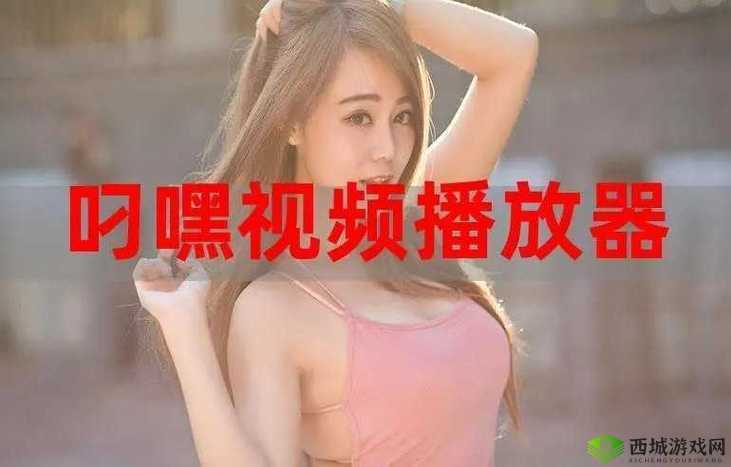 叼嗨软件相关内容:探索其独特魅力与价值