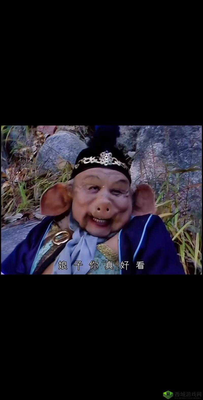 八戒网剧在线观看 7:带你走进八戒的奇妙世界