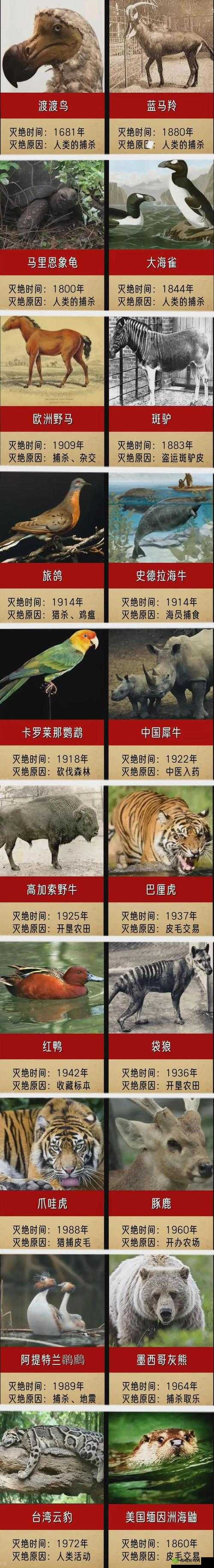 荒漠乐园中的物种灭绝观察与管理策略