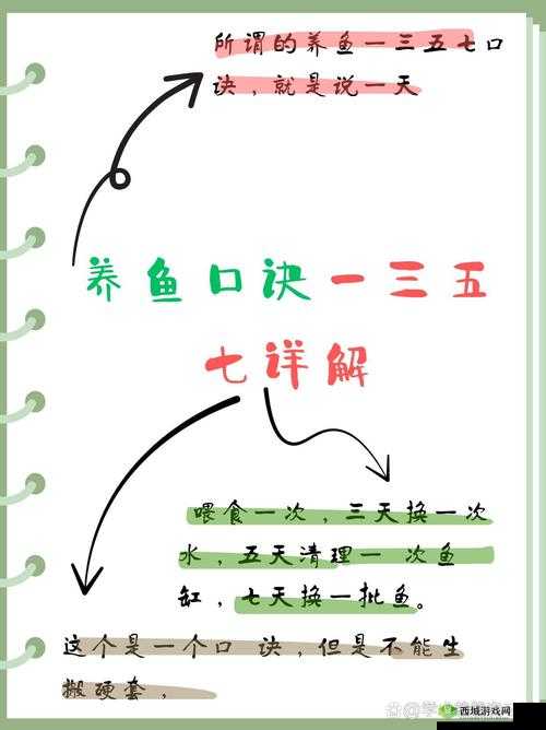 悠长假期养鱼场怎么养鱼？养鱼技巧分享