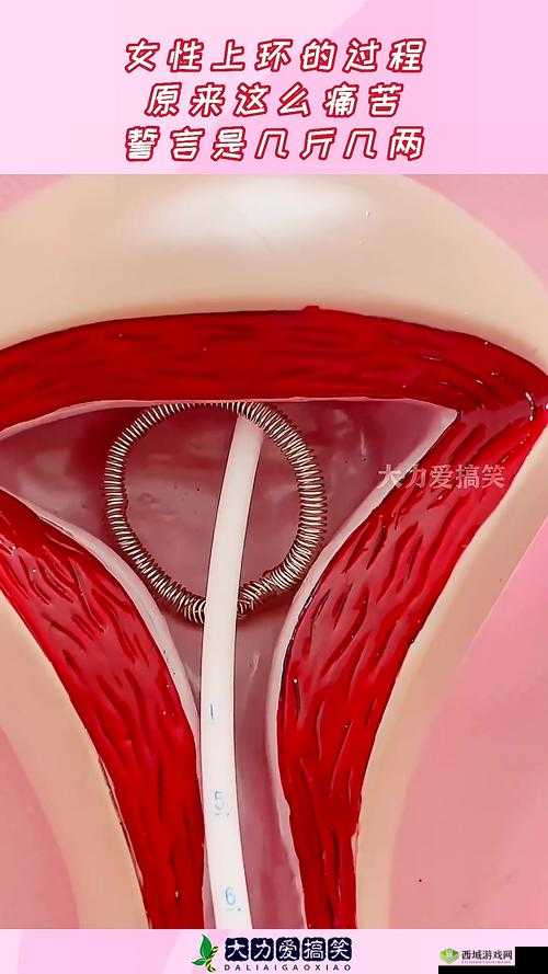 女仆腿上的环究竟有何作用?深度解析其背后的意义与用途