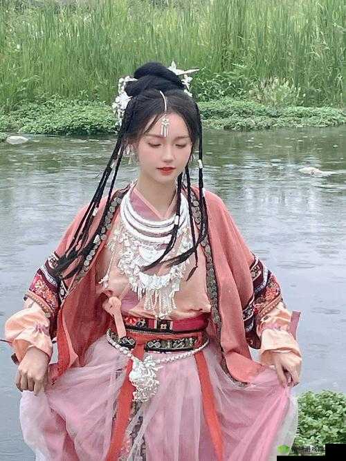 探索仙踪林视频官方网站:最新高清影片、独家幕后花絮及精彩剧情解析