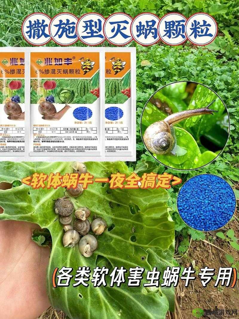 最强蜗牛原力结晶有什么用?是什么东西?