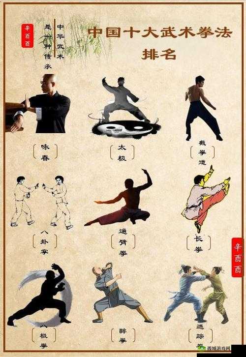 我也是大侠,拳法大全与属性深度解析
