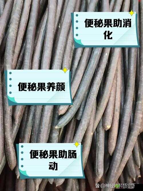 便秘果怎么吃效果最好?正确食用方法大揭秘