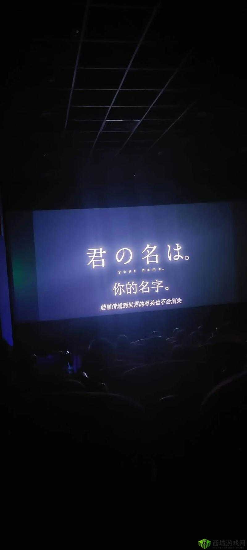 黄台旧窗口,你是否也曾好奇?这里有你想知道的一切