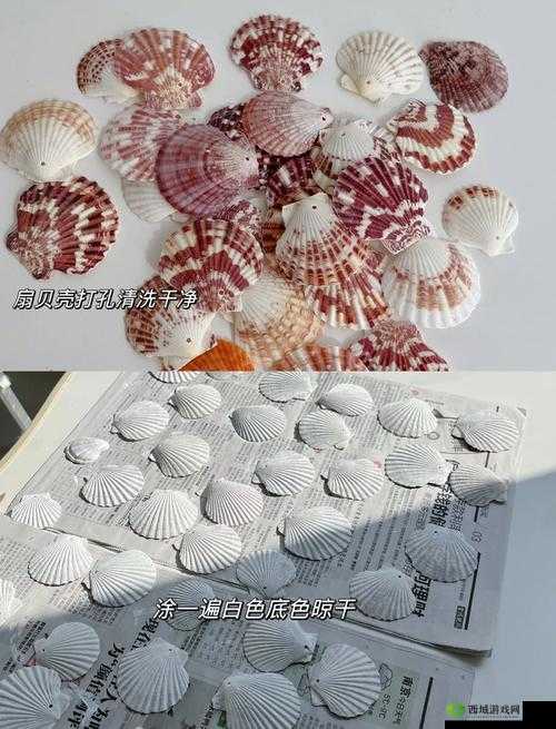动物餐厅贝壳风铃怎么解锁 有什么用攻略分享