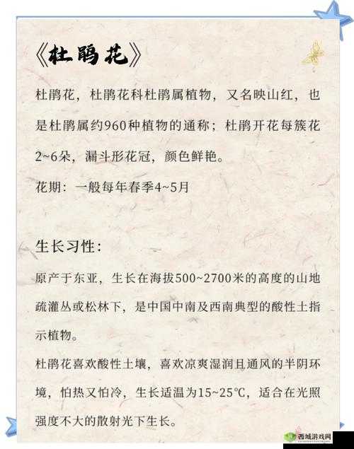 烟雨江湖杜鹃花在哪？杜鹃花坐标位置介绍